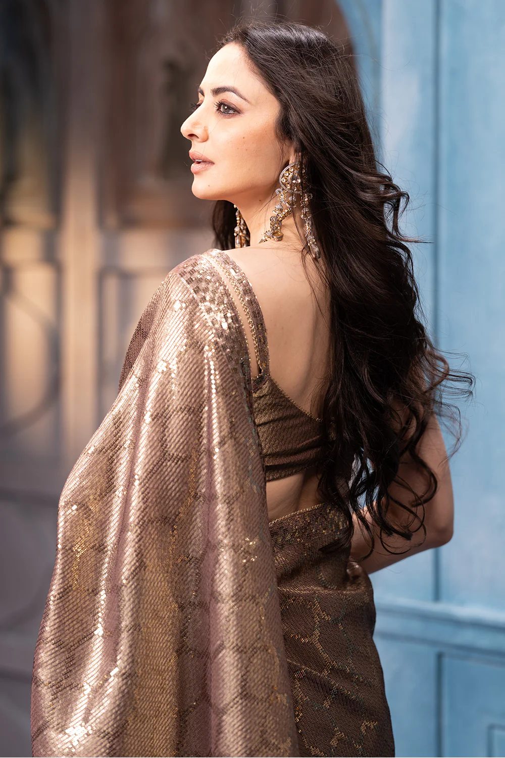 Brown Pure Metallic Tissue Sequins Embroidered Saree - Image 8