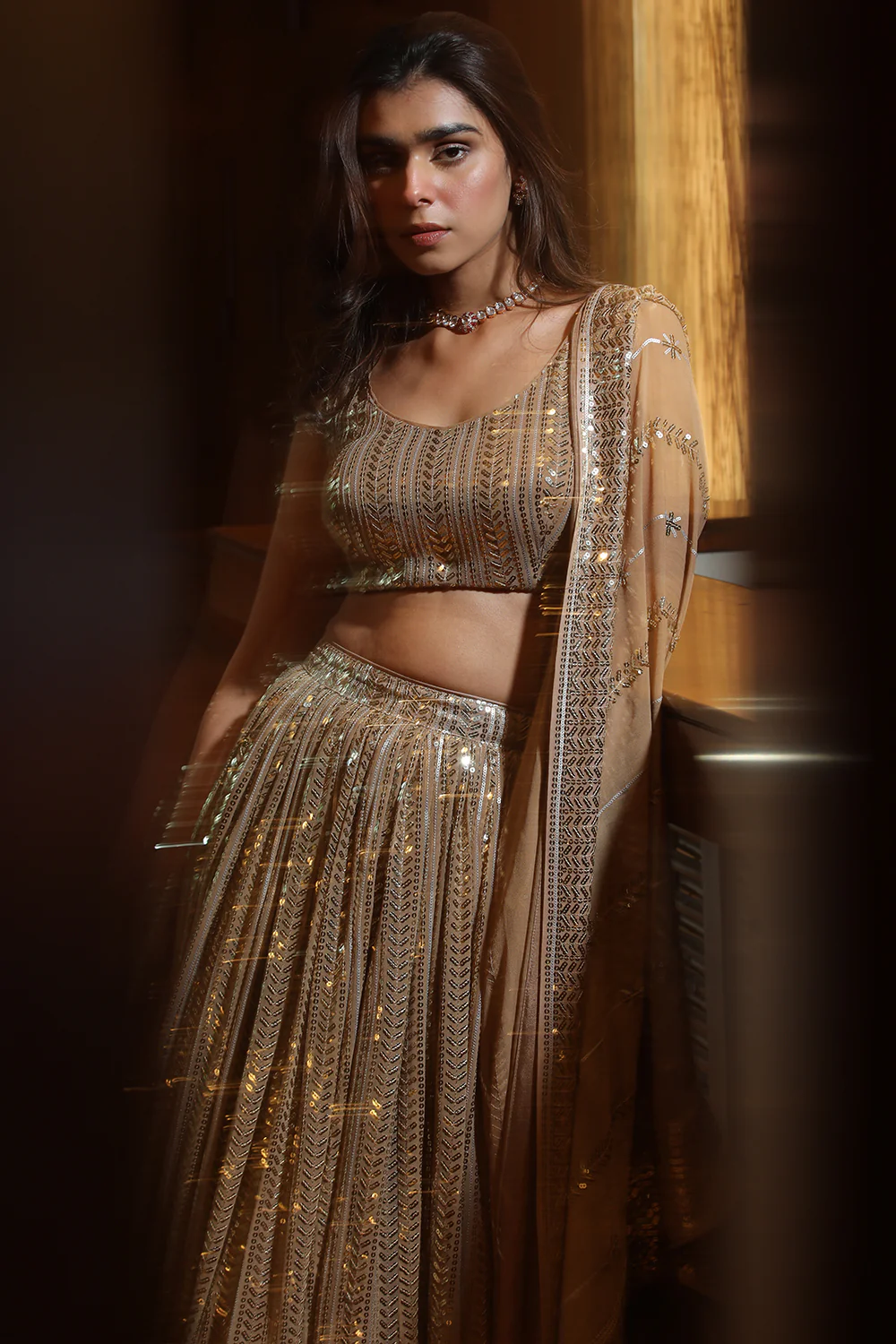 Fawn Color Sequins Georgette Lehenga - Image 5